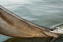 刀具,北海,蝦