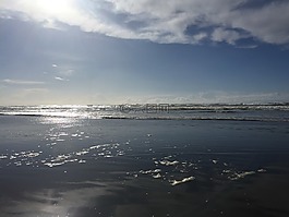 海灘,海洋,太平洋