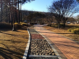 公園,吉,步行