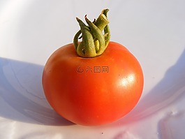 自然,水果,蔬菜