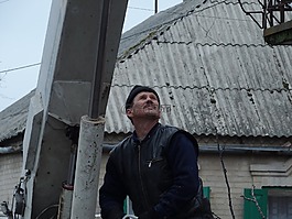 锯口,树,老树