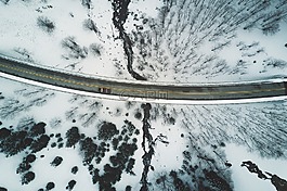 空氣,樹(shù),雪