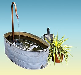 花園,浴,噴壺