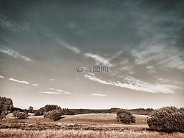 夏天草地,天空,景觀