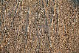桌面,沙,海濱