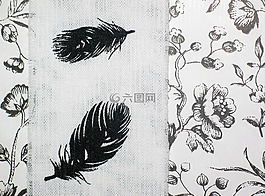 黑白色,黑色,白