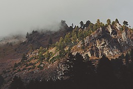 山,景觀,高峰