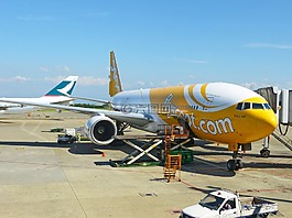 飛機(jī),航空公司,天空