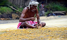 釣魚,蚊帳,修復(fù)
