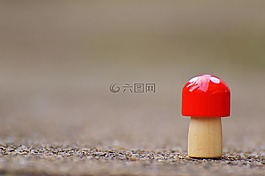 蘑菇,幸运的家伙,木