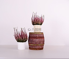 花盆,塑料,顏色
