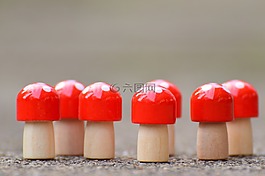 蘑菇,幸运的家伙,木