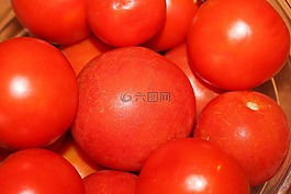 蕃茄,紅色,蔬菜