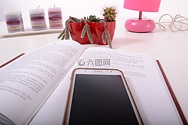 花盆,塑料,顏色