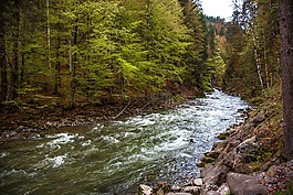 breitachklamm,巴伐利亚,峡谷