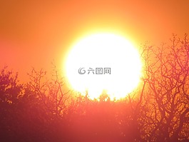 太陽(yáng),球,夏天