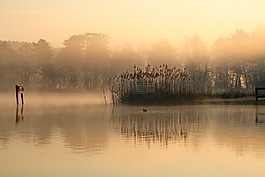 景觀,湖,霧