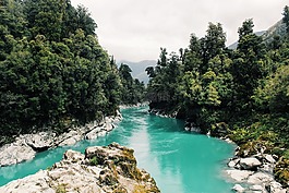 谷,山,樹(shù)