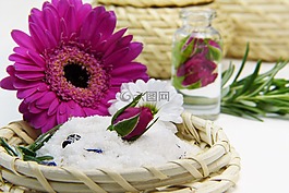 花,性質,廠