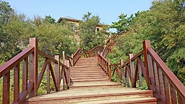 道路,樓梯,路