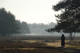 性質(zhì),景觀,林