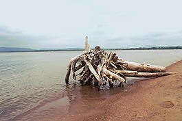 海灘,湖,性質(zhì)