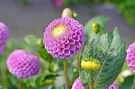 飾品,設(shè)計(jì),復(fù)活節(jié)