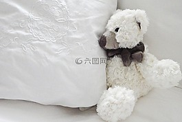 泰迪熊,玩具,玩具熊