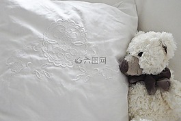 泰迪熊,玩具,玩具熊