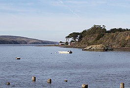 tomales海湾,马林县,加利福尼亚州