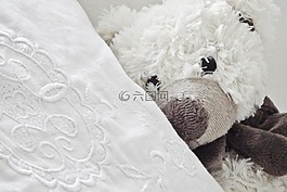 泰迪熊,玩具,玩具熊