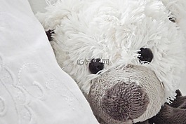 泰迪熊,玩具,玩具熊