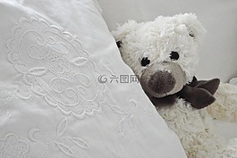 泰迪熊,玩具,玩具熊