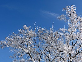 審美,成熟,雪