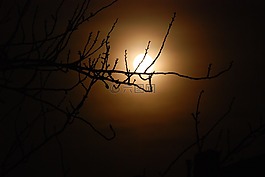 夜,月亮,黑暗