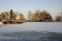 winterbeeld,冬天,冬季天气