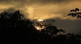 日落,黎明,太陽
