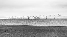 海,海洋,水