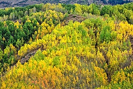 土耳其,性質(zhì),景觀