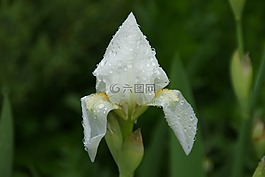 春,一滴水,自然