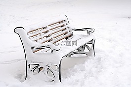 雪,白,冬天