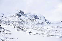 自然,景觀,雪