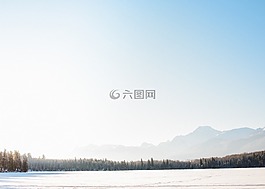 自然,景觀,伍茲