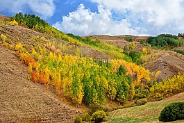 土耳其,性質(zhì),景觀