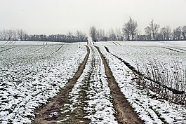 巷,雪,冬天
