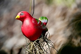 鳥,關(guān)閉,陶瓷