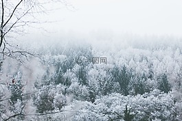 雪,冬天,山