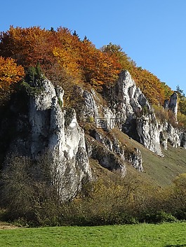 開國(guó)元?jiǎng)?波蘭,國(guó)家公園