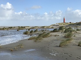 海灘,海,太陽