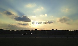 日落,天空,云